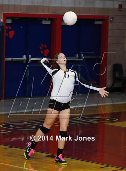 Thumbnail 3 in Basha @ Centennial photogallery.