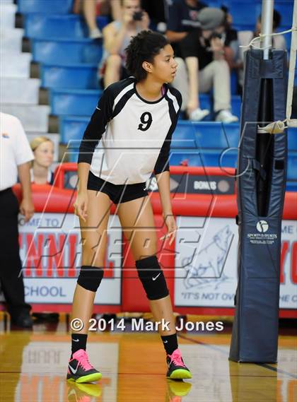 Thumbnail 3 in Basha @ Centennial photogallery.