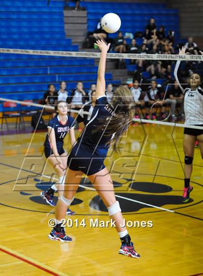 Thumbnail 3 in Basha @ Centennial photogallery.