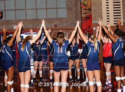 Thumbnail 1 in Basha @ Centennial photogallery.