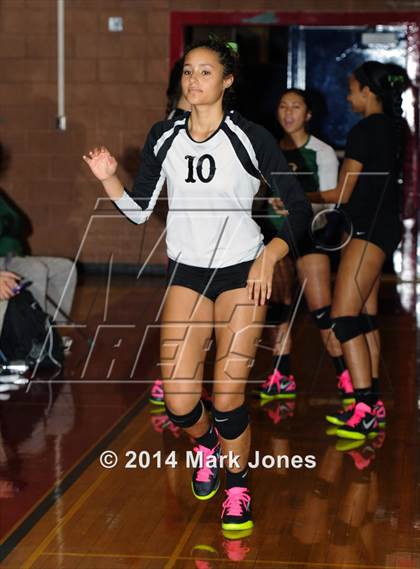 Thumbnail 1 in Basha @ Centennial photogallery.