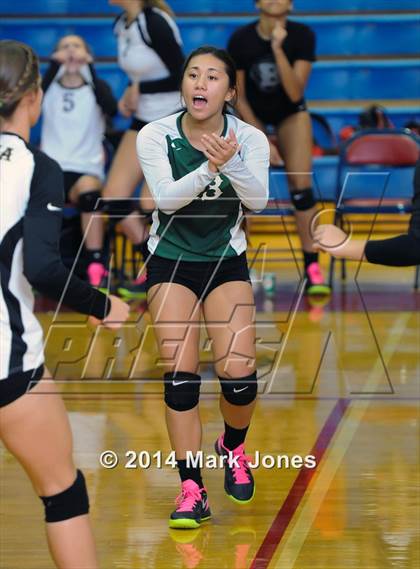 Thumbnail 2 in Basha @ Centennial photogallery.