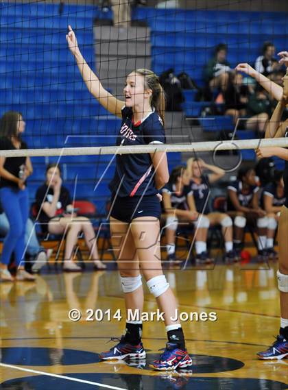 Thumbnail 2 in Basha @ Centennial photogallery.