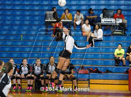 Thumbnail 3 in Basha @ Centennial photogallery.