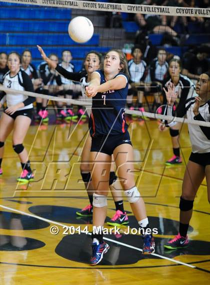 Thumbnail 1 in Basha @ Centennial photogallery.