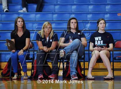 Thumbnail 1 in Basha @ Centennial photogallery.