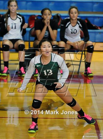 Thumbnail 3 in Basha @ Centennial photogallery.