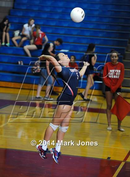 Thumbnail 2 in Basha @ Centennial photogallery.