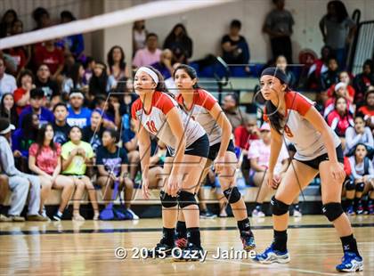 Thumbnail 1 in Judson @ Warren photogallery.