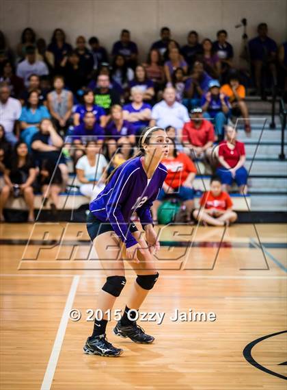 Thumbnail 3 in Judson @ Warren photogallery.