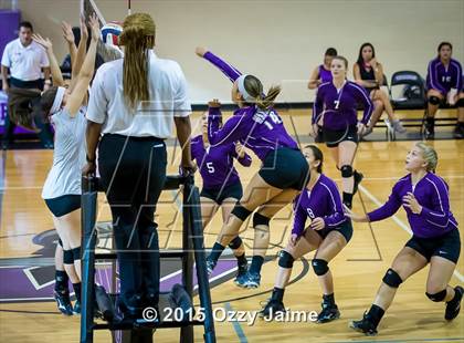Thumbnail 1 in Judson @ Warren photogallery.