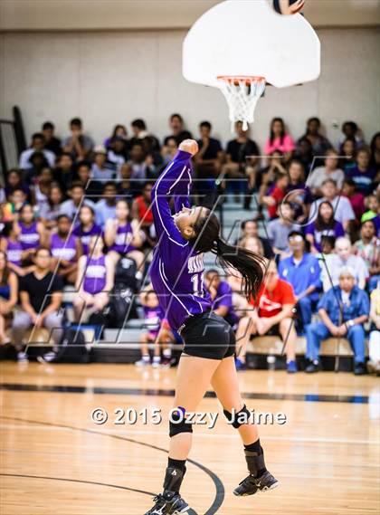 Thumbnail 2 in Judson @ Warren photogallery.