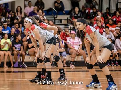 Thumbnail 2 in Judson @ Warren photogallery.