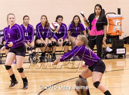 Thumbnail 2 in Judson @ Warren photogallery.