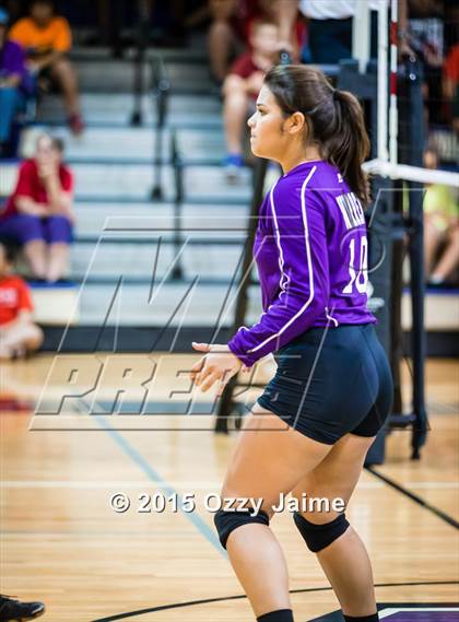 Thumbnail 3 in Judson @ Warren photogallery.