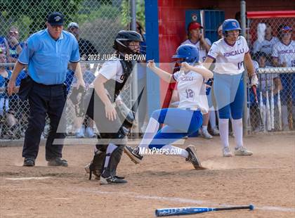 Thumbnail 1 in Avon vs. Roncalli photogallery.