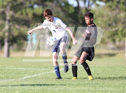 Thumbnail 2 in Bemidji vs Red River photogallery.