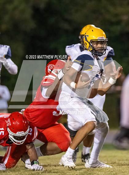 Thumbnail 2 in Cape Fear @ Seventy-First photogallery.