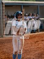 Photo from the gallery "Lanier @ Denmark"