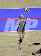 Photo from the gallery "Swink vs. Hoehne (CHSAA 1A First Round Elimination Bracket)"