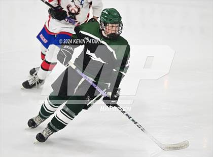 Thumbnail 3 in New Milford @ E.O. Smith/Tolland photogallery.