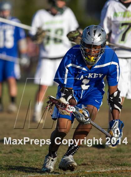 Thumbnail 3 in Lackey @ Patuxent photogallery.