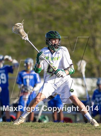 Thumbnail 1 in Lackey @ Patuxent photogallery.