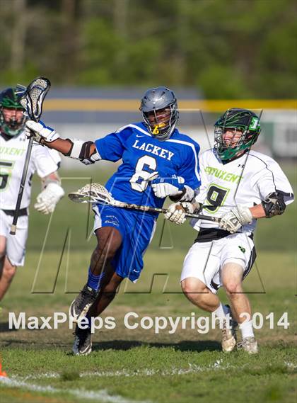 Thumbnail 3 in Lackey @ Patuxent photogallery.