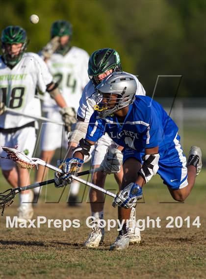 Thumbnail 2 in Lackey @ Patuxent photogallery.