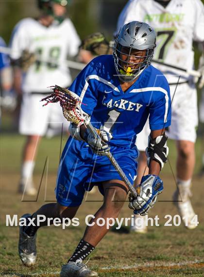 Thumbnail 1 in Lackey @ Patuxent photogallery.