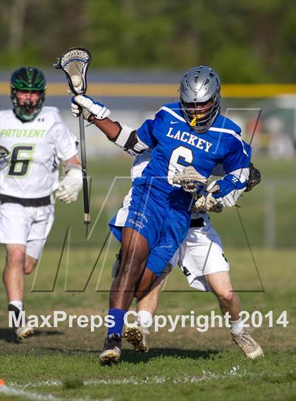 Thumbnail 1 in Lackey @ Patuxent photogallery.