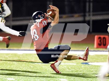 Thumbnail 1 in Williamsville North @ North Tonawanda photogallery.