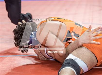 Thumbnail 2 in NYSPHSAA D2 State Championship Wrestling 3rd and 4th Place  photogallery.