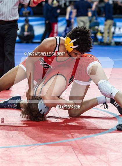 Thumbnail 1 in NYSPHSAA D2 State Championship Wrestling 3rd and 4th Place  photogallery.