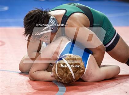 Thumbnail 2 in NYSPHSAA D2 State Championship Wrestling 3rd and 4th Place  photogallery.