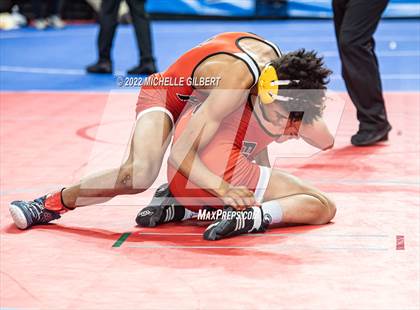 Thumbnail 2 in NYSPHSAA D2 State Championship Wrestling 3rd and 4th Place  photogallery.