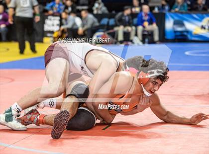 Thumbnail 1 in NYSPHSAA D2 State Championship Wrestling 3rd and 4th Place  photogallery.