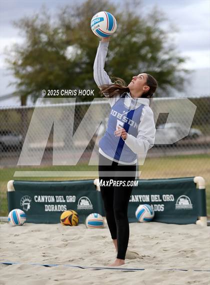 Thumbnail 3 in Dobson @ Canyon del Oro photogallery.
