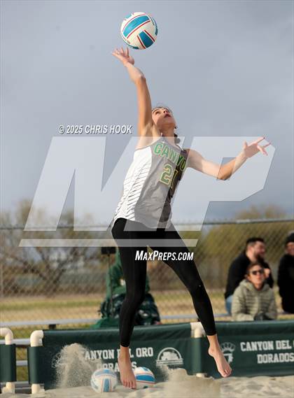 Thumbnail 3 in Dobson @ Canyon del Oro photogallery.