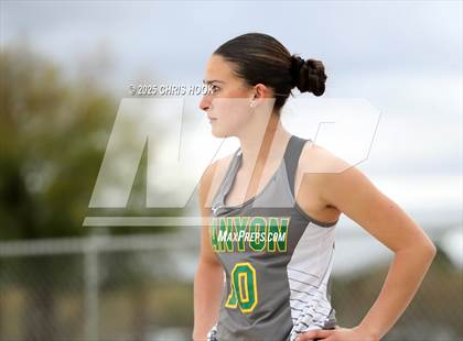 Thumbnail 1 in Dobson @ Canyon del Oro photogallery.