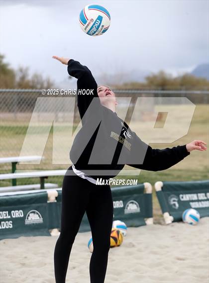 Thumbnail 1 in Dobson @ Canyon del Oro photogallery.