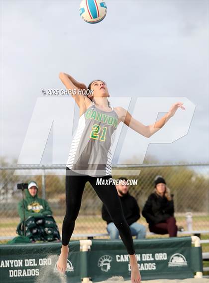 Thumbnail 2 in Dobson @ Canyon del Oro photogallery.