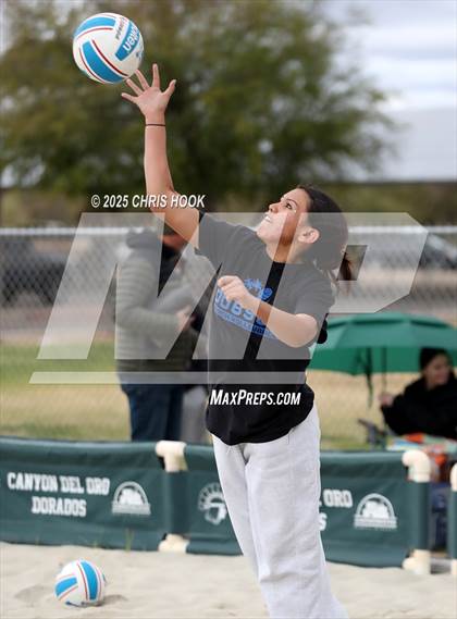 Thumbnail 1 in Dobson @ Canyon del Oro photogallery.