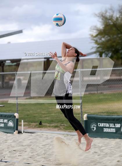 Thumbnail 2 in Dobson @ Canyon del Oro photogallery.