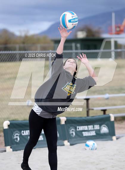 Thumbnail 1 in Dobson @ Canyon del Oro photogallery.