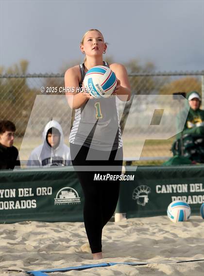 Thumbnail 1 in Dobson @ Canyon del Oro photogallery.