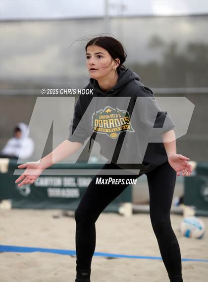 Thumbnail 2 in Dobson @ Canyon del Oro photogallery.