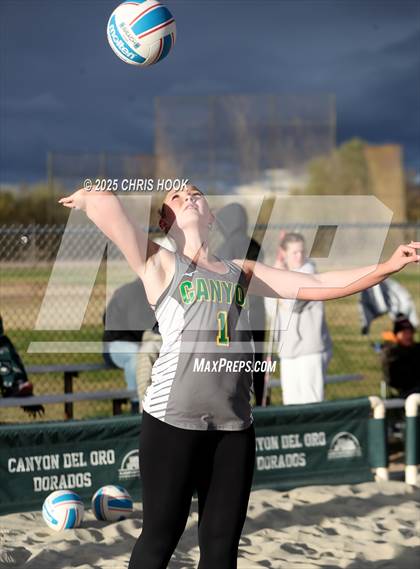 Thumbnail 3 in Dobson @ Canyon del Oro photogallery.