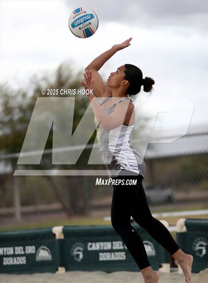 Thumbnail 1 in Dobson @ Canyon del Oro photogallery.