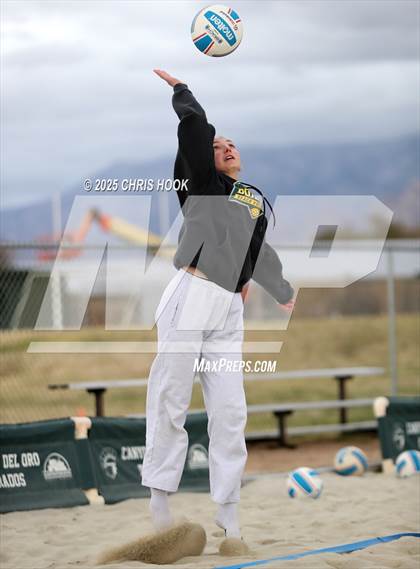 Thumbnail 3 in Dobson @ Canyon del Oro photogallery.